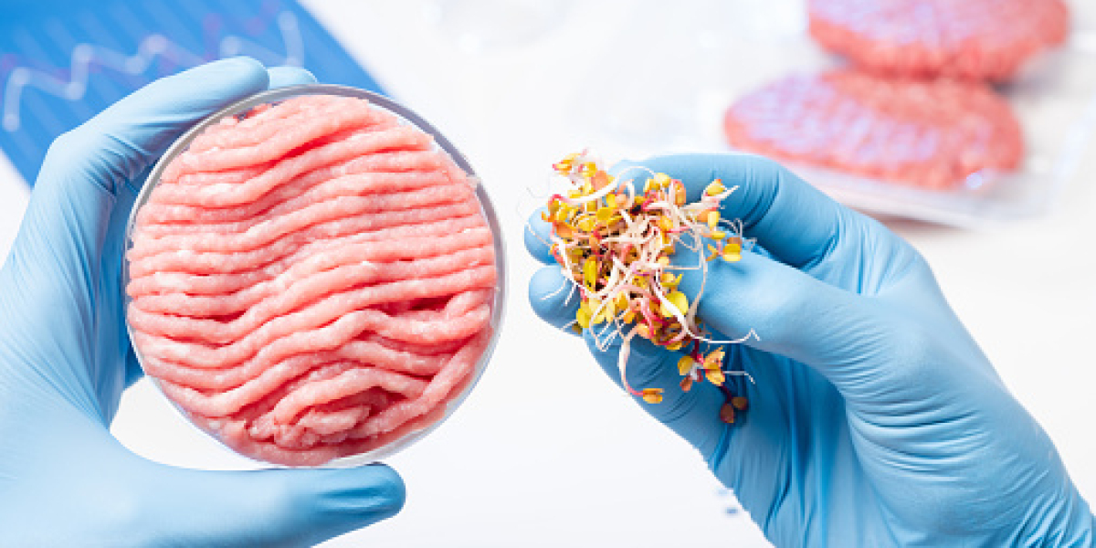 Lab-Based Meat Key Market Players Analysis by Statistics, and Forecast 2030