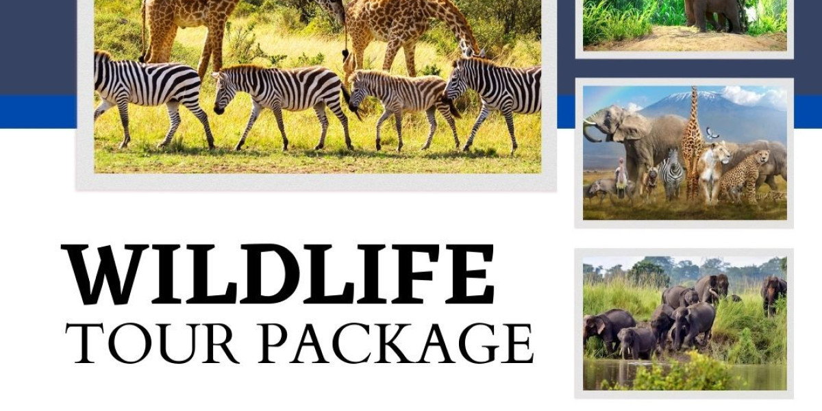 Explore These Amazing Nature Parks With Our Amazing Wildlife Tour Packages