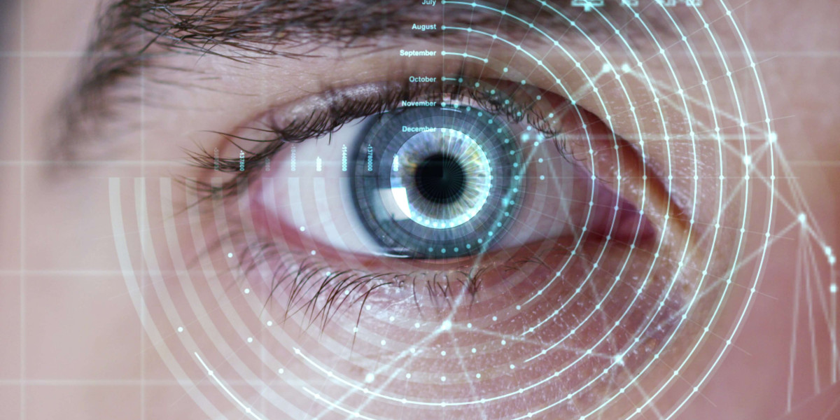 Irisscope: Exploring New Dimensions In Biometric Iris Recognition