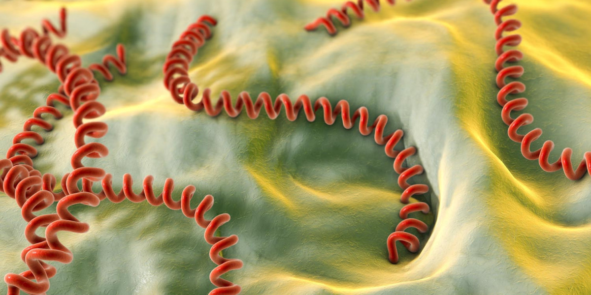 Leptospirosis Outbreaks: Navigating The Challenges Of Diagnosis And Treatment