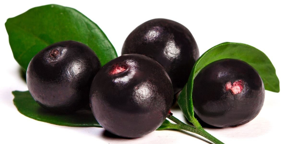 Acai Infusion: Elevate Your Health with Acai Berry