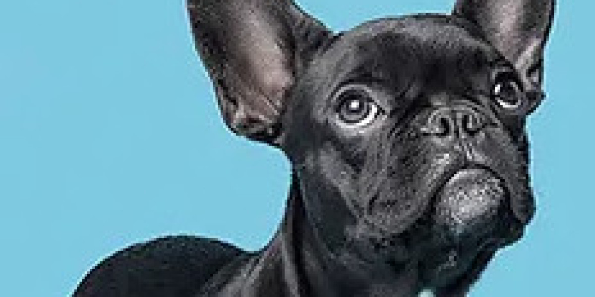 Vet Acupuncture Singapore | Dog Hydrotherapy Singapore