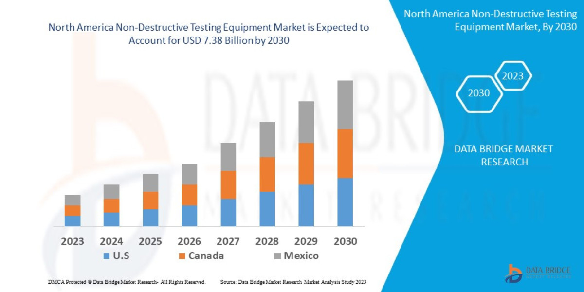 North America Non-Destructive Testing Equipment Market by Product Type through 2030