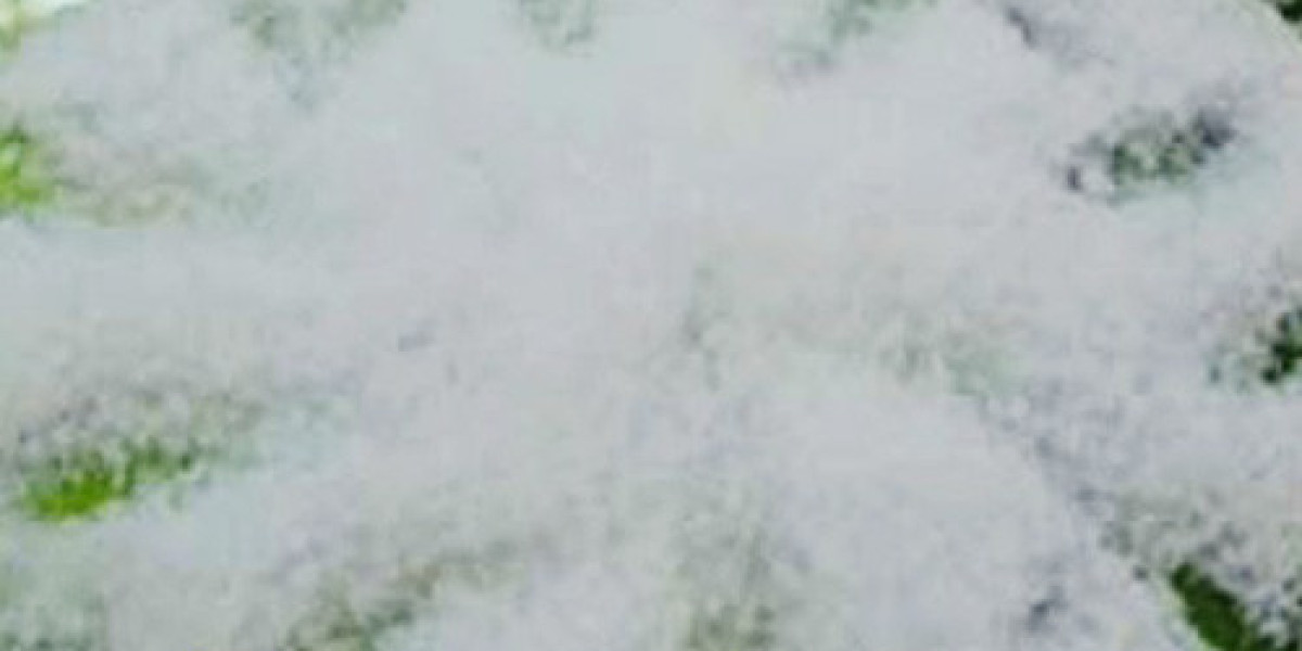 Asia Neopentyl Glycol (NPG) Market Size, Share, Demand, Growth & Trends by 2033