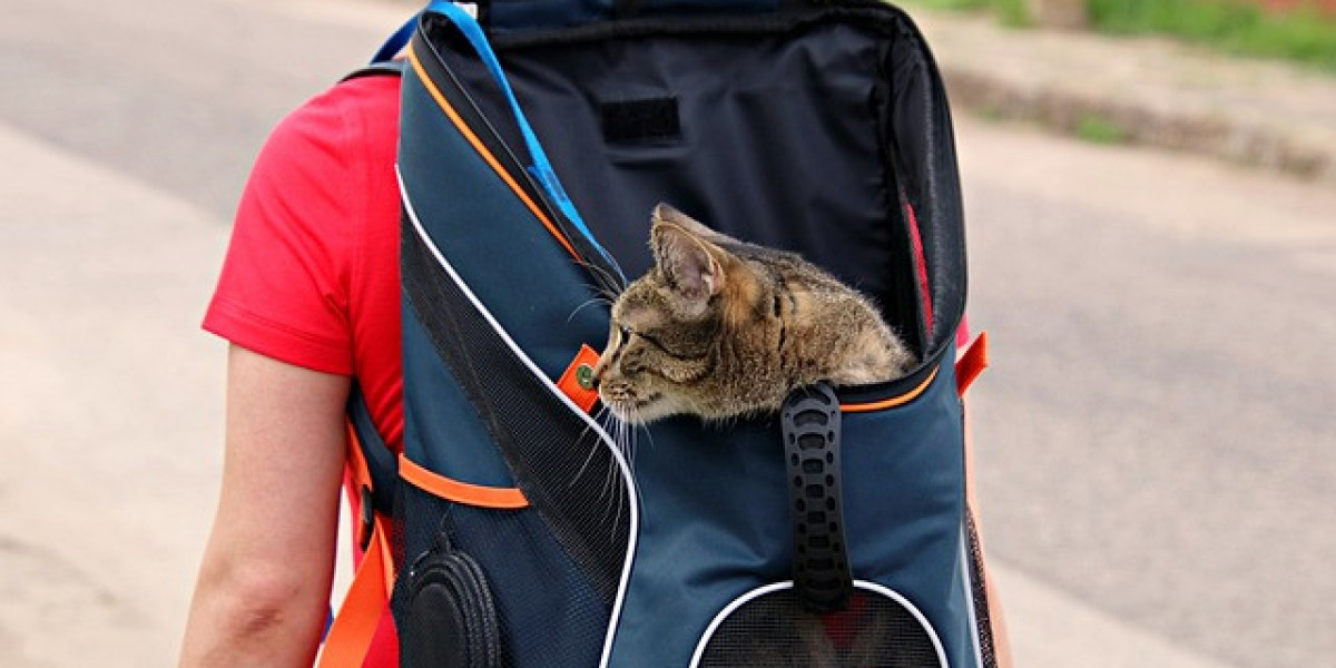 Pet Carriers Market Research Development Status, Competition Analysis, Type and Application