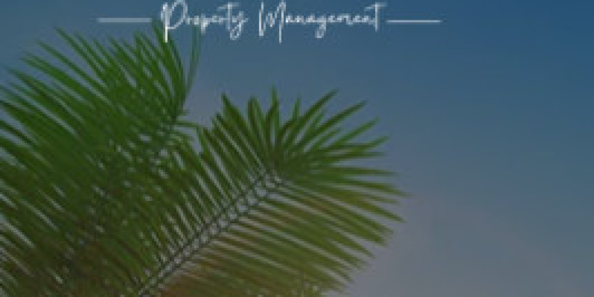 Cabo San Lucas Vacation Homes for Rent: Your Ultimate Guide