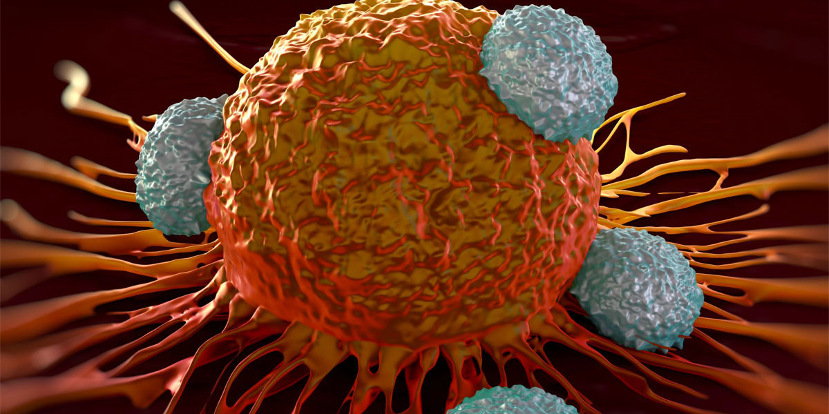 A Treatment Called Immuno-Oncology Targets The Body's Natural Defenses, The Immune System, In Order To Combat Cance