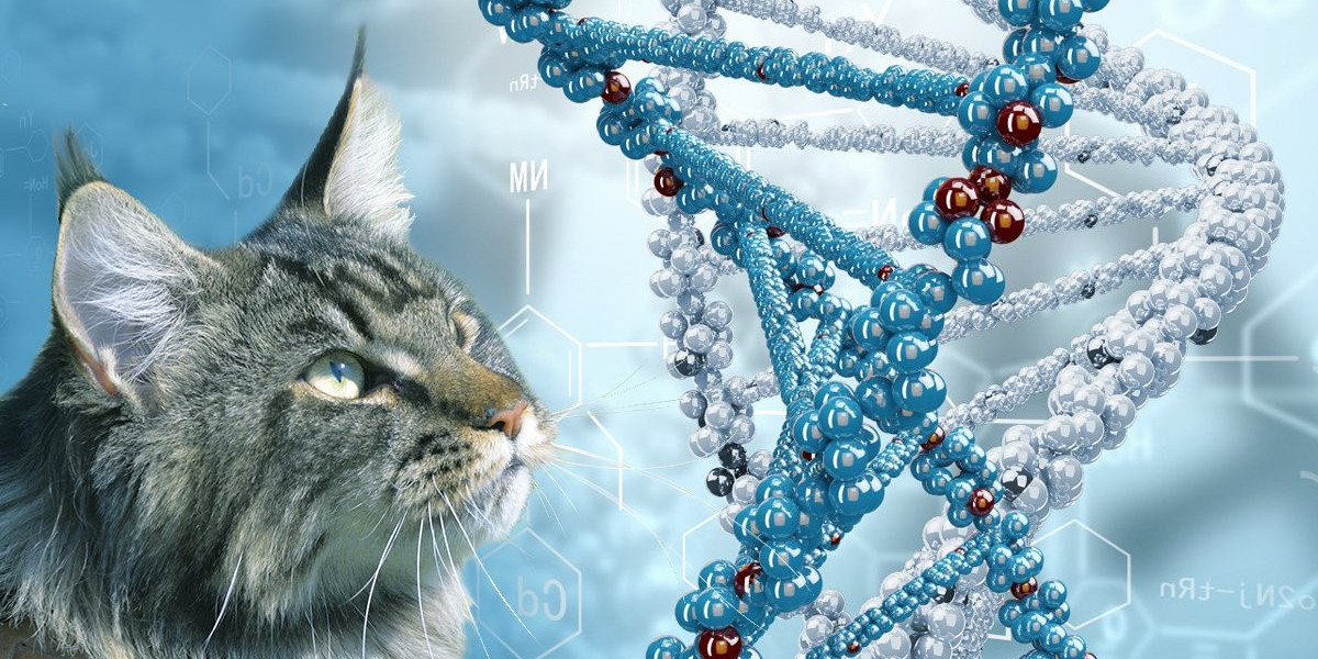 Unleashing The Power Of Genes: Insights Into Animal Genetics