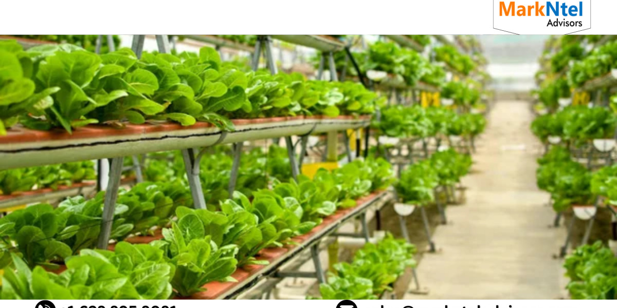 Indoor Farming Market Research, Growth Factors, Latest Trends and Forecast Report: 2023-2028