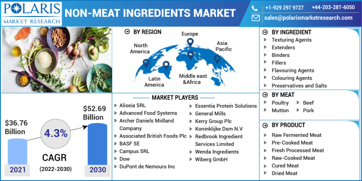 Non-meat Ingredients Market Size In-Depth Analysis & Global Forecast to 2032