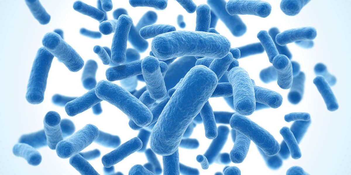 Bacillus Subtilis: A Natural Warrior Against Harmful Pathogens