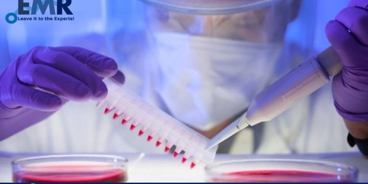 Global Biological Safety Testing Market Size, Share, Growth, Industry Outlook 2028