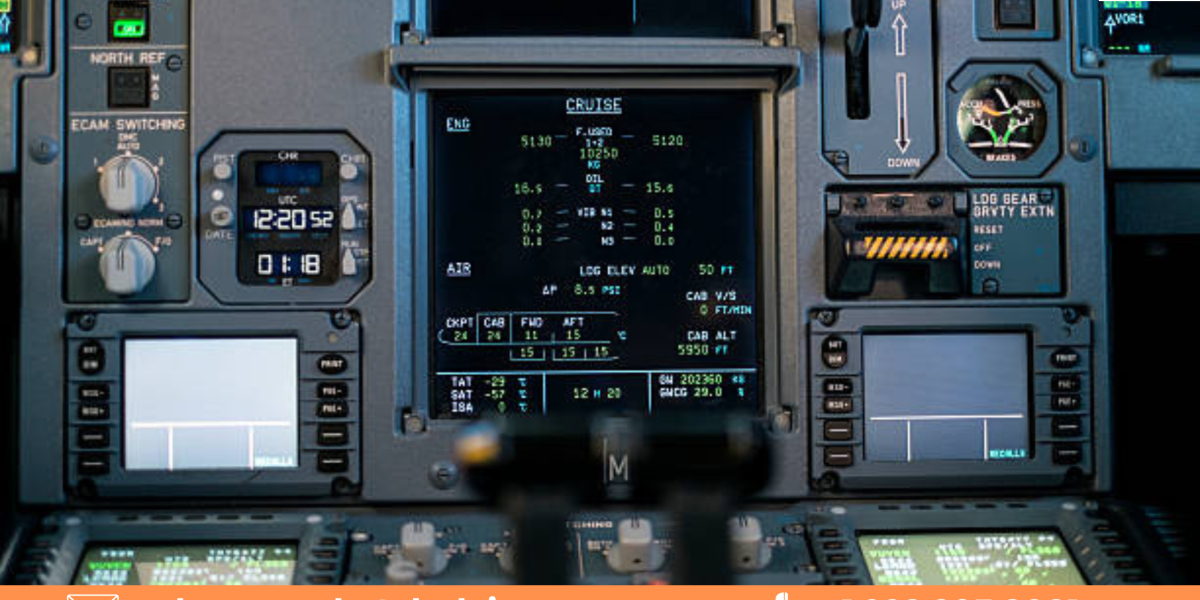 The Business of Global Aircraft Switches: Investment Opportunities and Challenges