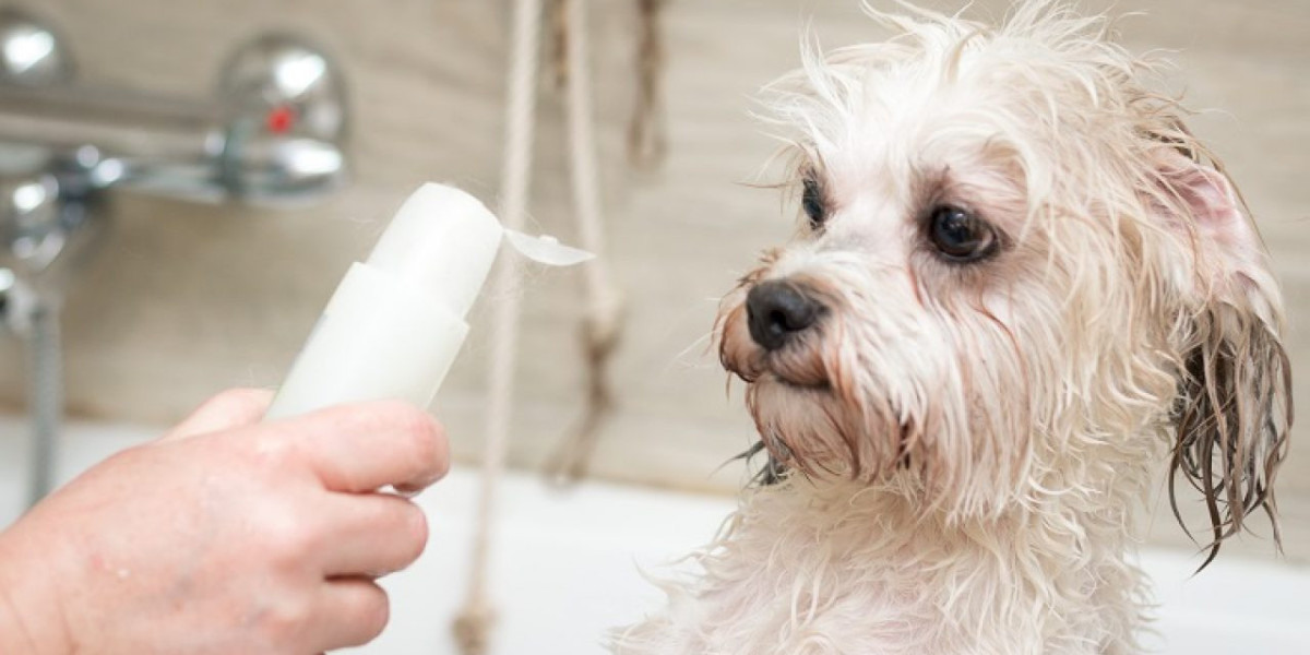 Pet Shampoo Market Supply, Demand, Market Value, Infrastructure and Competition 2032