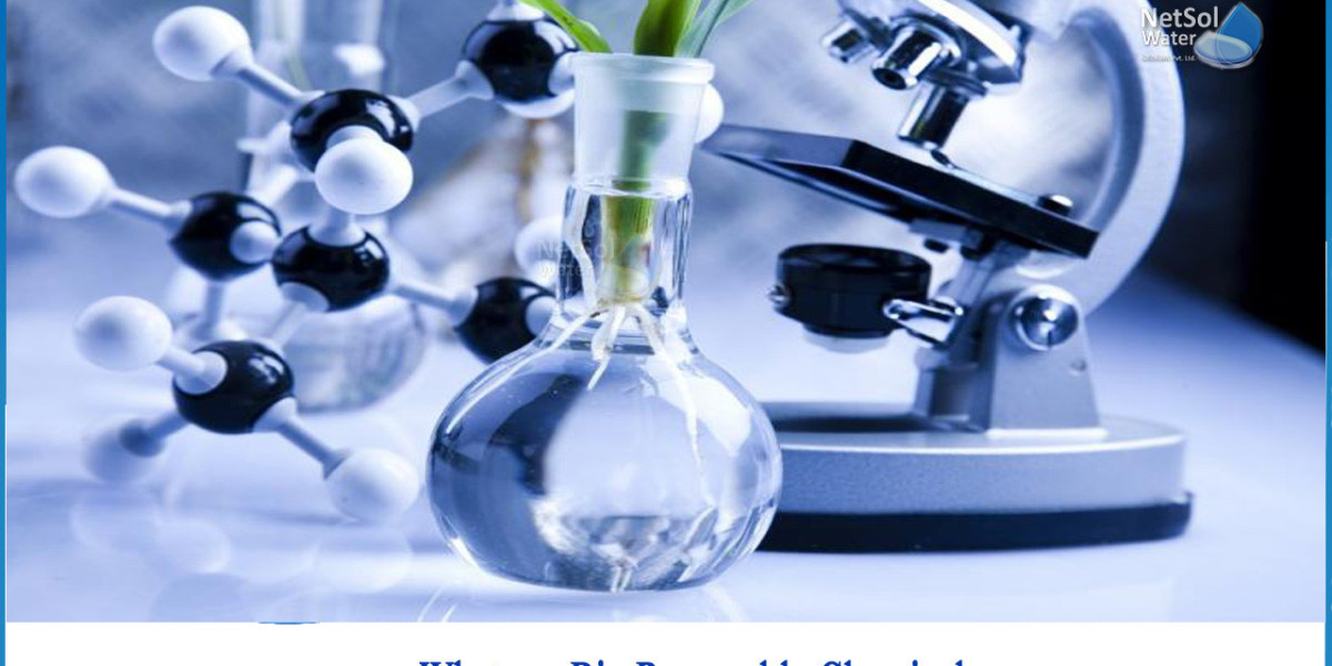 Renewable Chemicals Market Status, Latest Trends and Segment Forecast to 2029