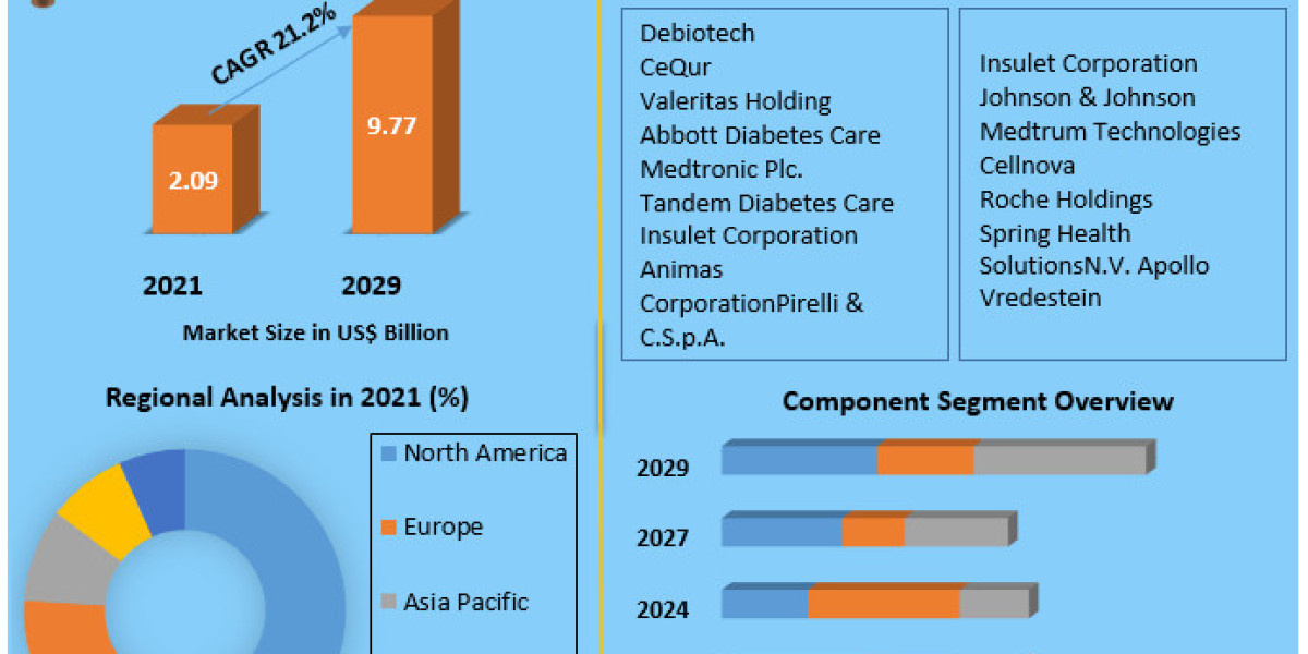 Tubeless Insulin Pump Market Industry Outlook, Key Players, Segmentation Analysis, Business Growth and Forecast to 2029