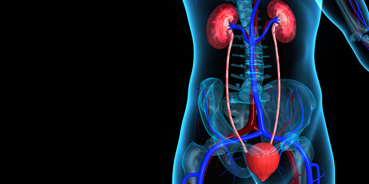 Market Dynamics and Growth Drivers Of The Urinary Tract Infection Therapeutics Market During The Forecast Period 2022-20