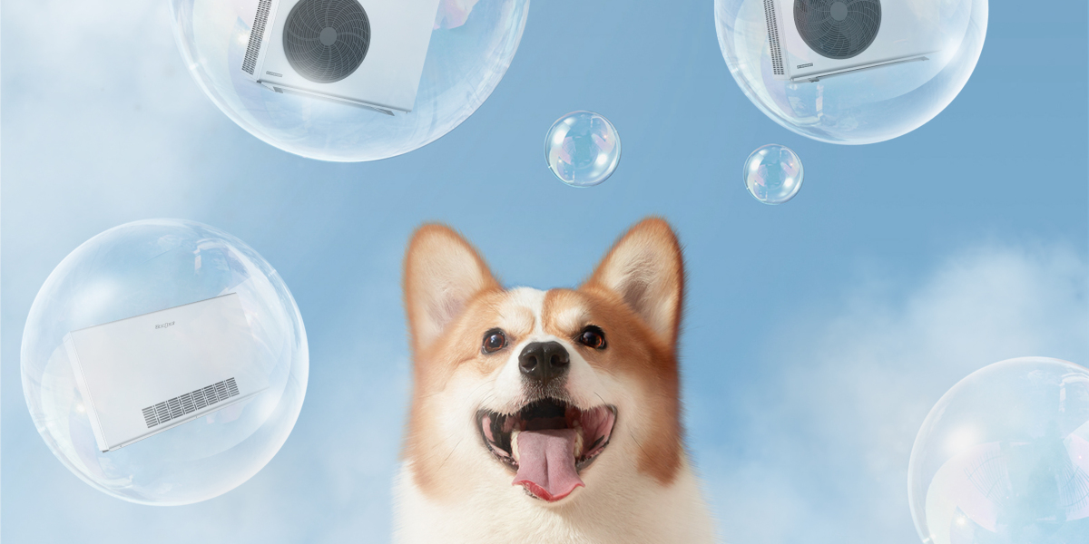 Cold Weather, Warm Hearts: Top Strategies for Pet Winter Care