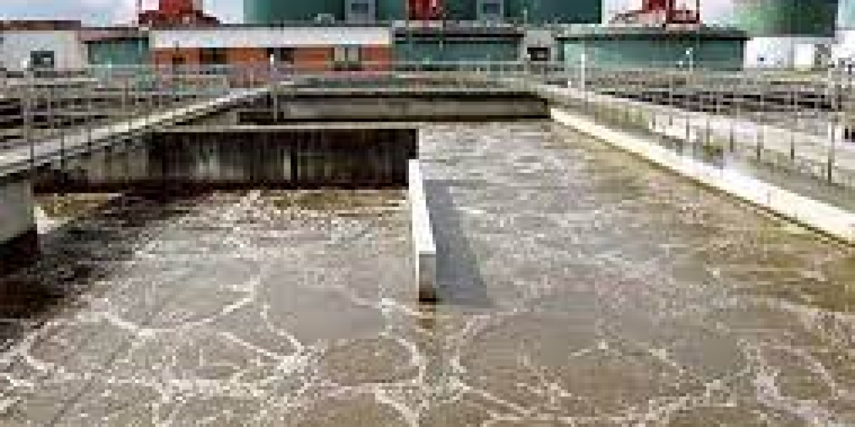 Industrial Sludge Treatment Chemicals Market Trends and Forecast to 2029