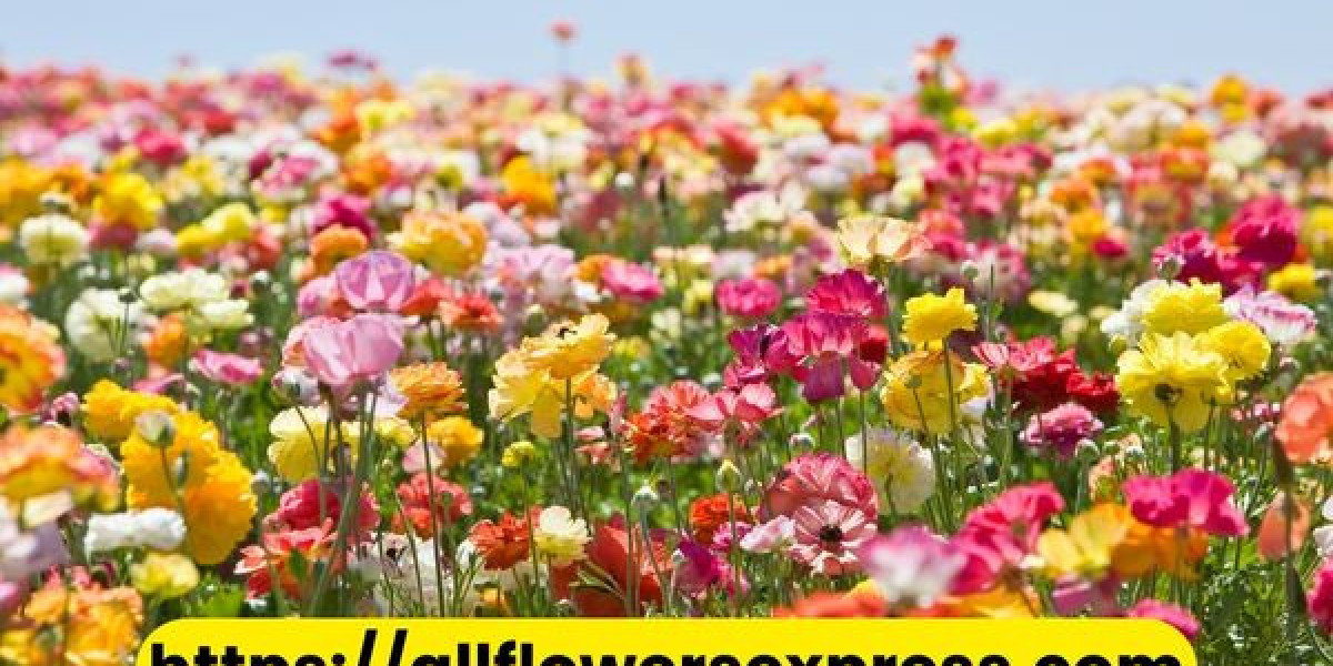 Premium Quality Bulk Wholesale Flowers - The Cheapest Flowers Online!