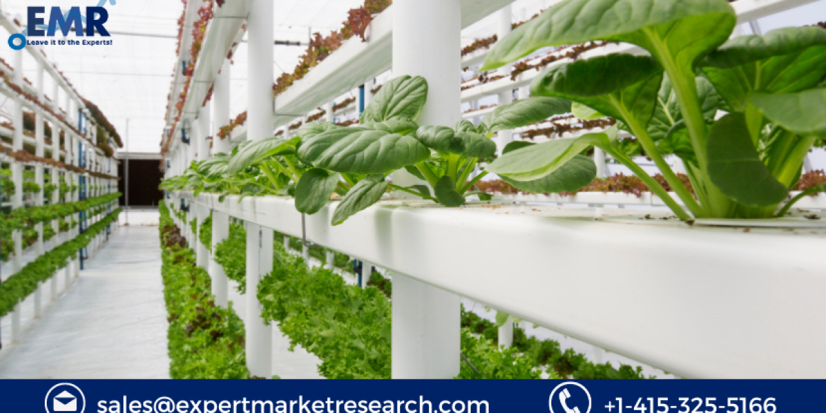 Vertical Farming Market Size to Grow at a CAGR of 21% in the Forecast Period of 2023-2028