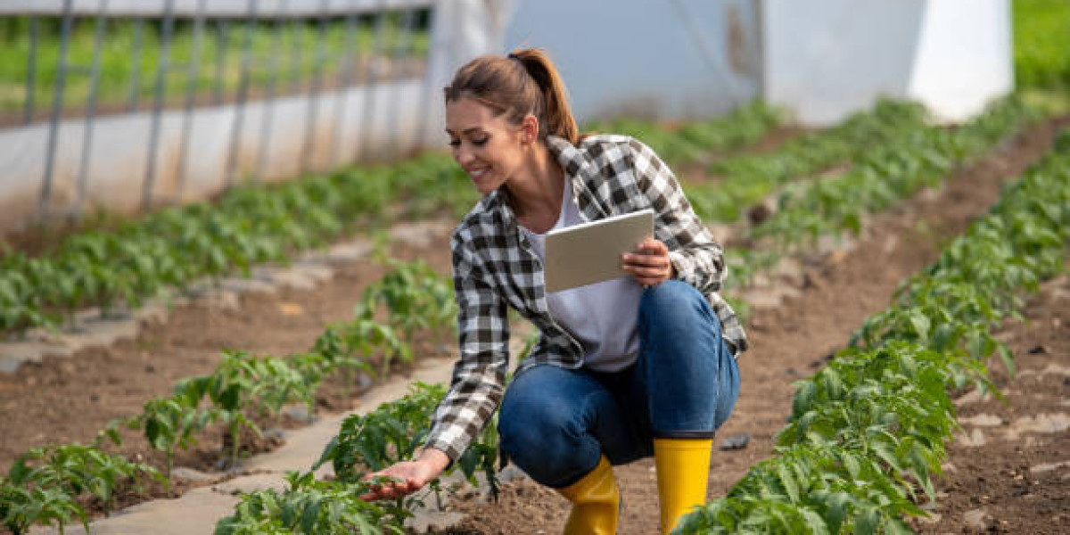 Catalyst Fertilizer Market Growth Future Demand of Competitor by Report, Forecast 2030