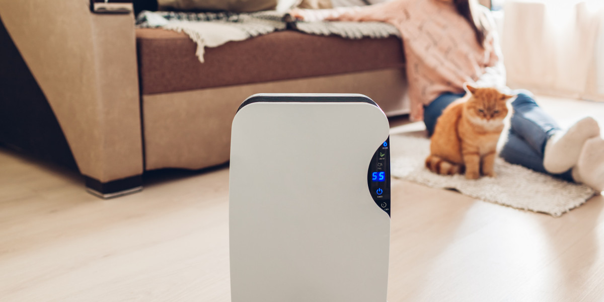 A Ray Of Freshness: UV Air Purifier For A Cleaner Living Environment