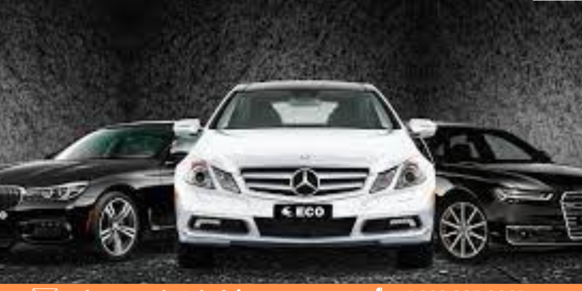 The Business of Global Car Rental: Investment Opportunities and Challenges