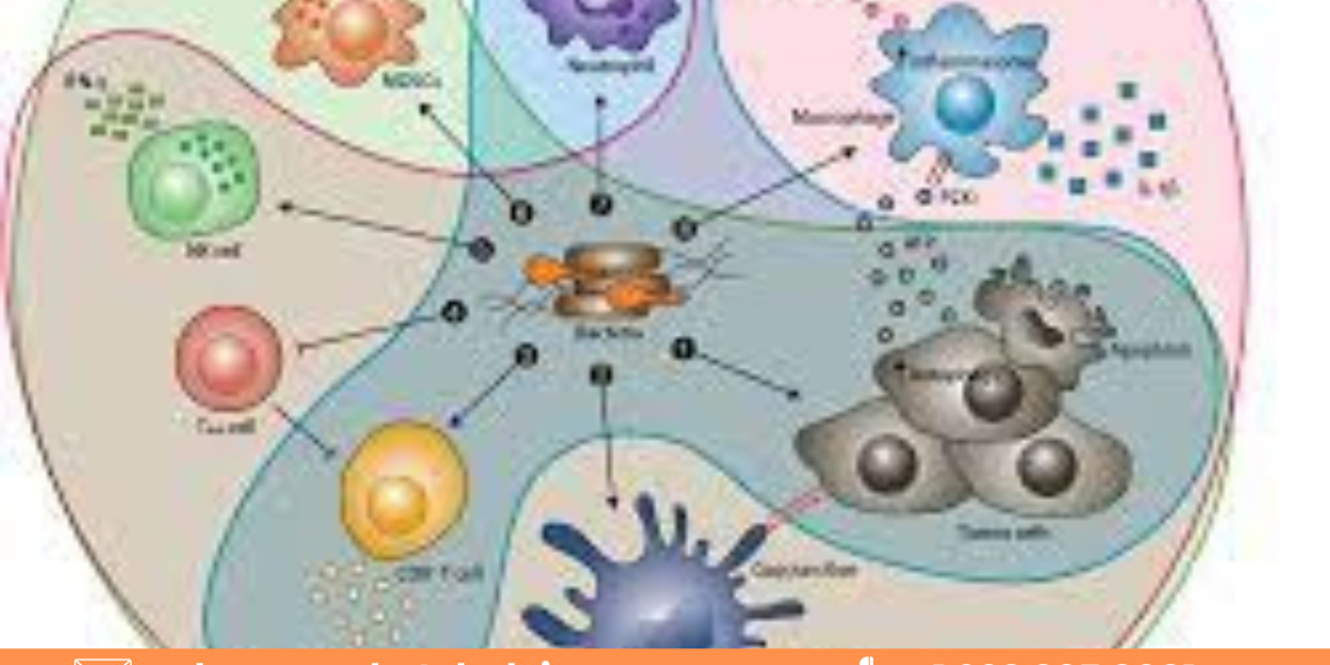 The Business of Global Intratumoral Cancer Therapy: Investment Opportunities and Challenges