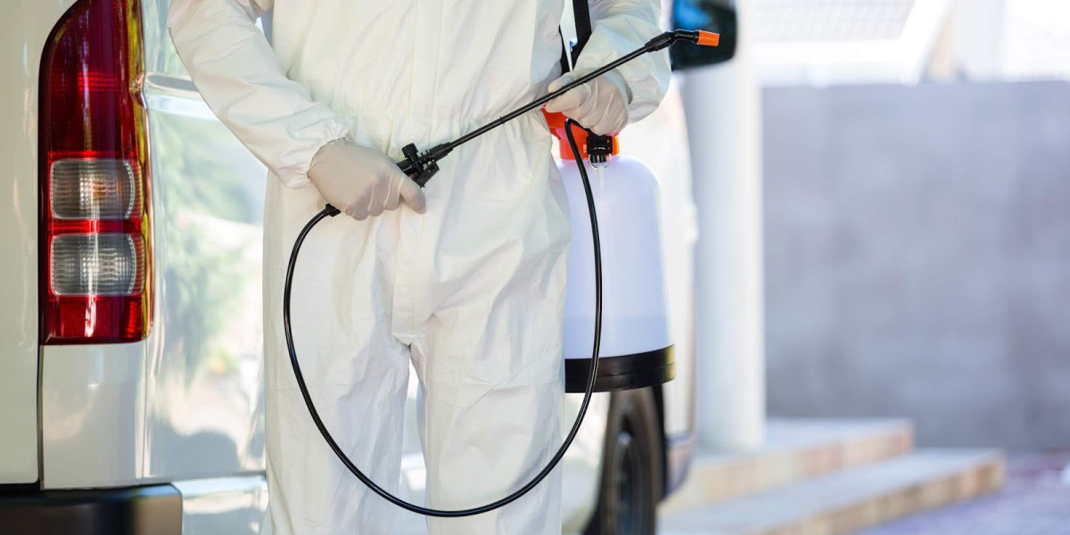 The Top 5 Most Effective Pest Control Products and Services