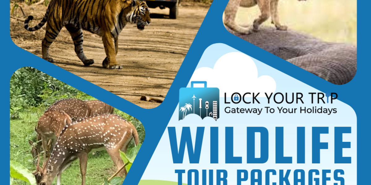 10 Ideal Options For Jungle Safari For Wildlife Lovers!