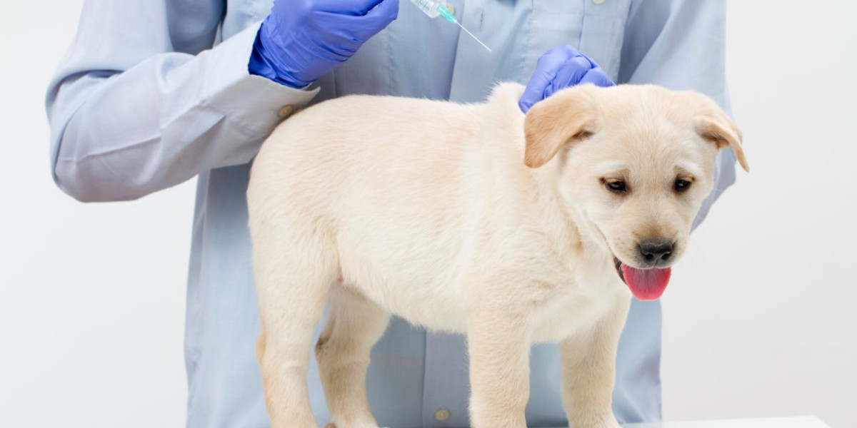 A Guide to Veterinary Vaccines: Protecting Our Animal Companions