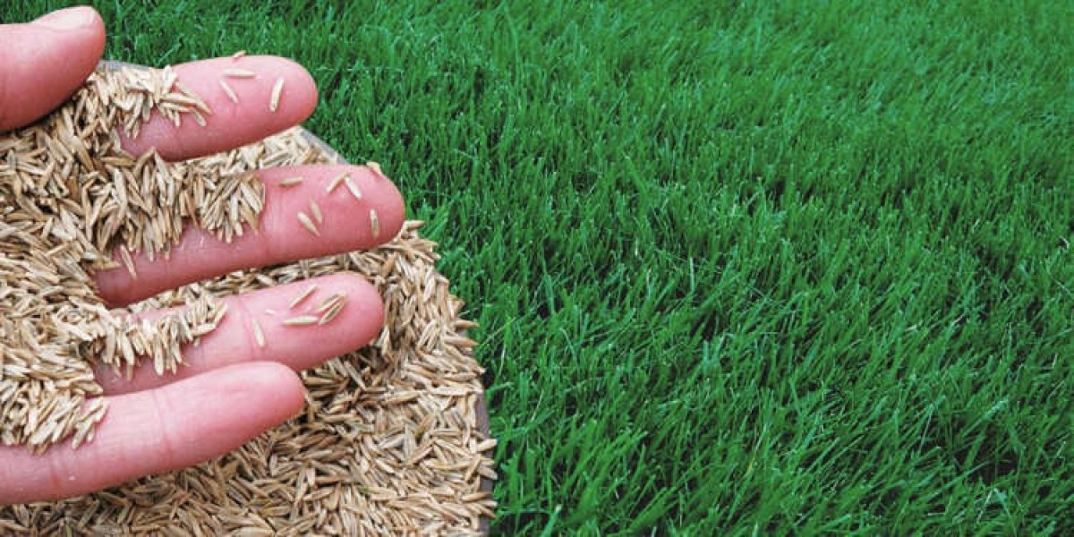 The Ultimate Guide To Grass Seeds: Expert Recommendations And Insights
