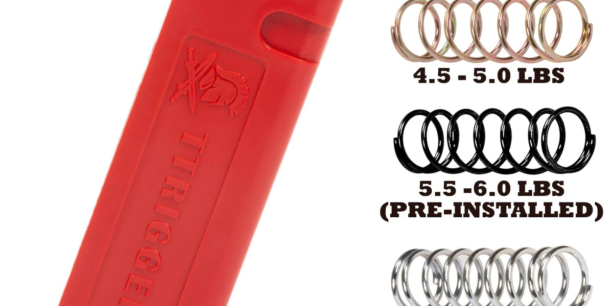 Dry Firing: Enhance Shooting Accuracy with Dry Fire Training & TTRIGGER Dry Fire Mag