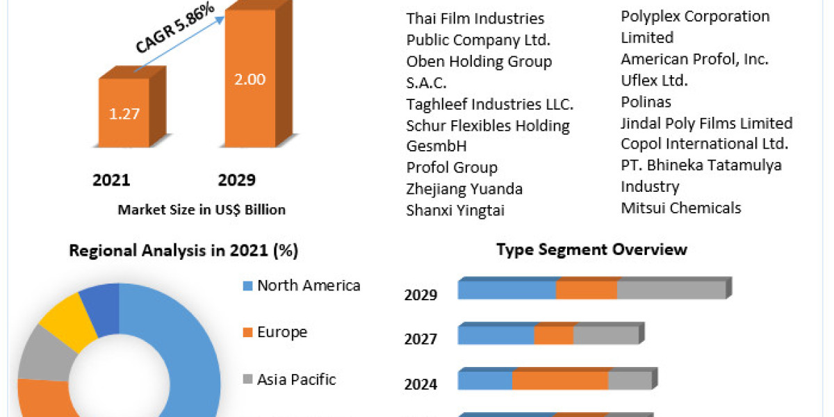 Redefining Packaging Standards: Strategies for Success in the Cast Polypropylene Films Market by 2029