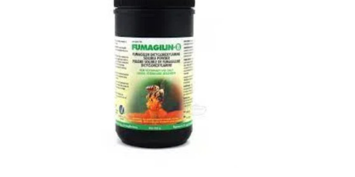 How effective is Fumagillin in treating microsporidiosis in humans?