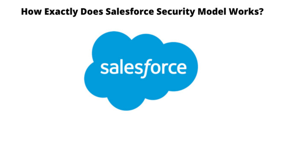 How Exactly Does Salesforce Security Model Works?