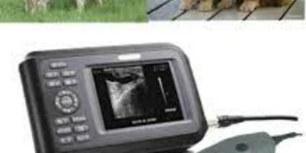 Advanced Veterinary Care with the 8000AV Palmtop Ultrasound Machine
