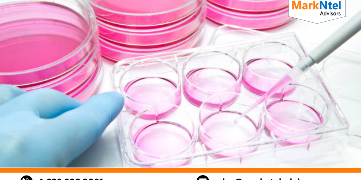 Cell Culture Market Size, Trends, Growth Analysis 2023-2028 – An Quick Outlook