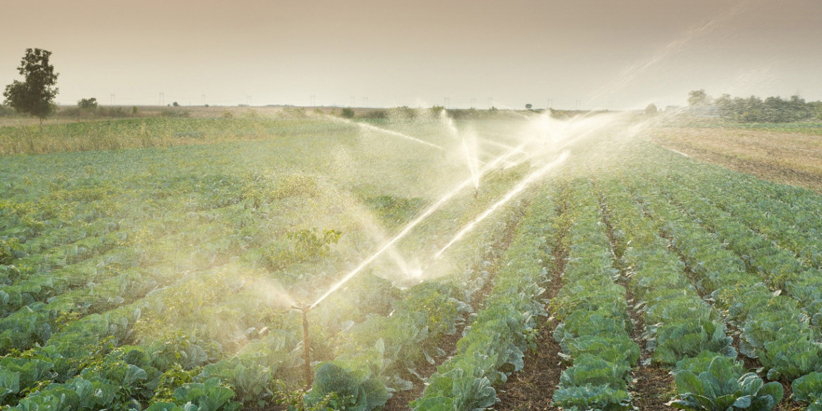 Irrigation Automation Market Analysis, Technical Study and Business Guidelines till 2023-2030