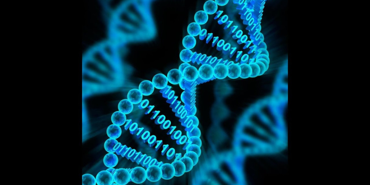 It Is The Application Of Computational Methods And Tools To Analyze Biological Data That Is The Focus Of Bioinformatics 