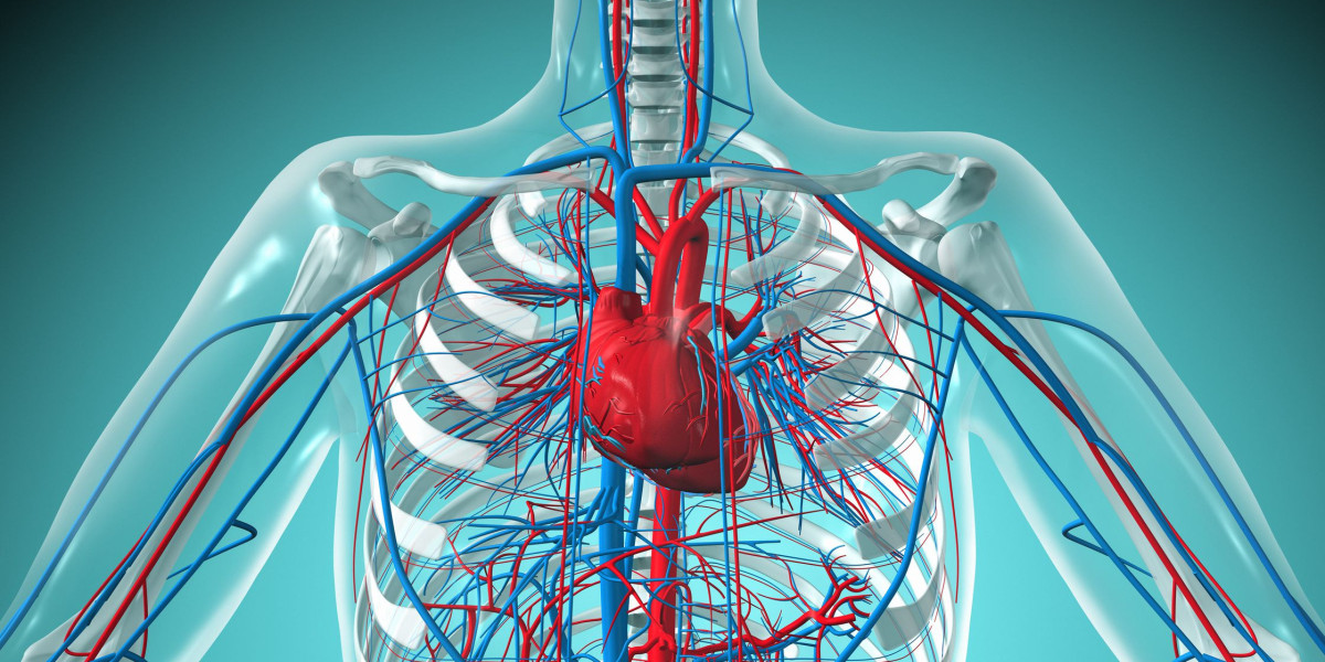 Exploring the Boundaries: Limitations of Cardiovascular Information Systems
