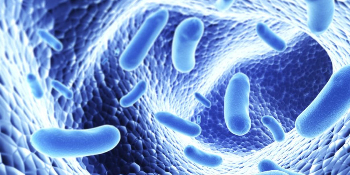 Strategies for Healthy Aging through Human Microbiome Balance