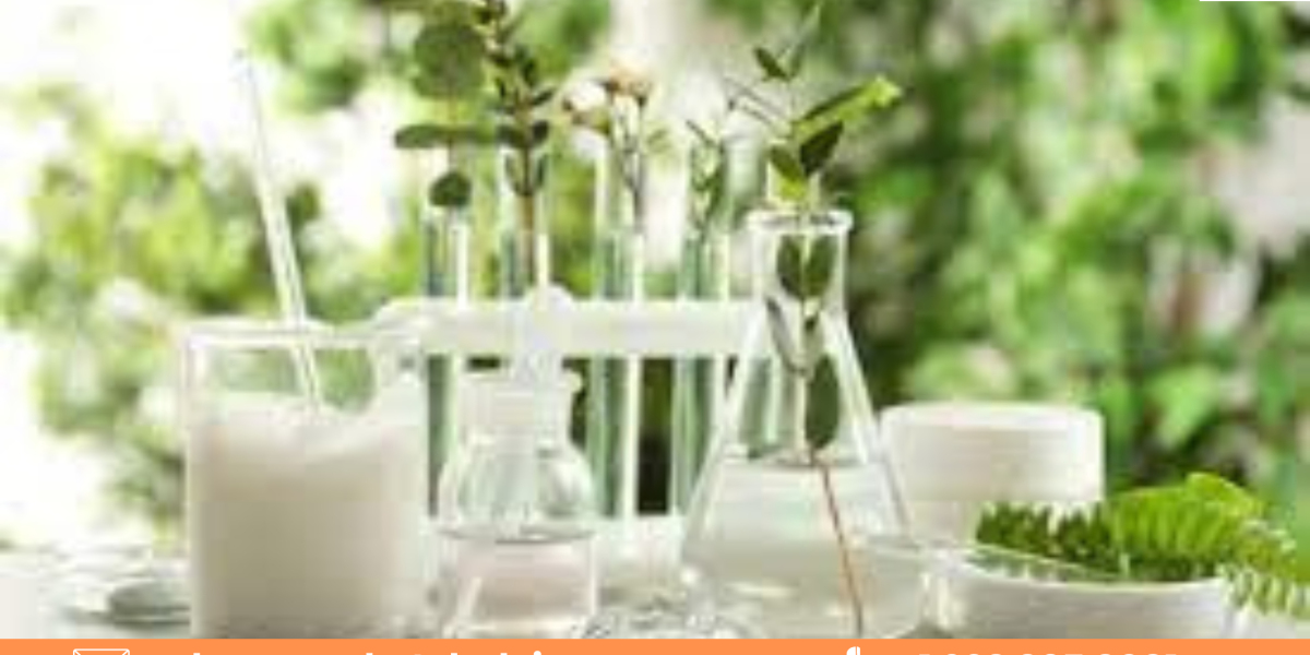 The Business of Global Green Surfactants: Investment Opportunities and Challenges