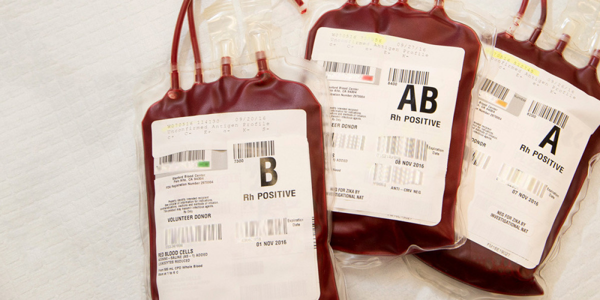 Blood Bags Market Size, Share, Trends, Growth Report 2028