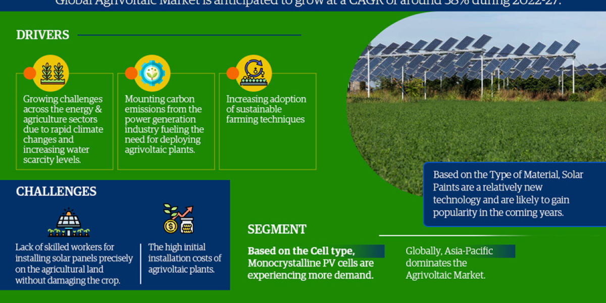Trending Now Exploring the Latest Global Agrivoltaics Market