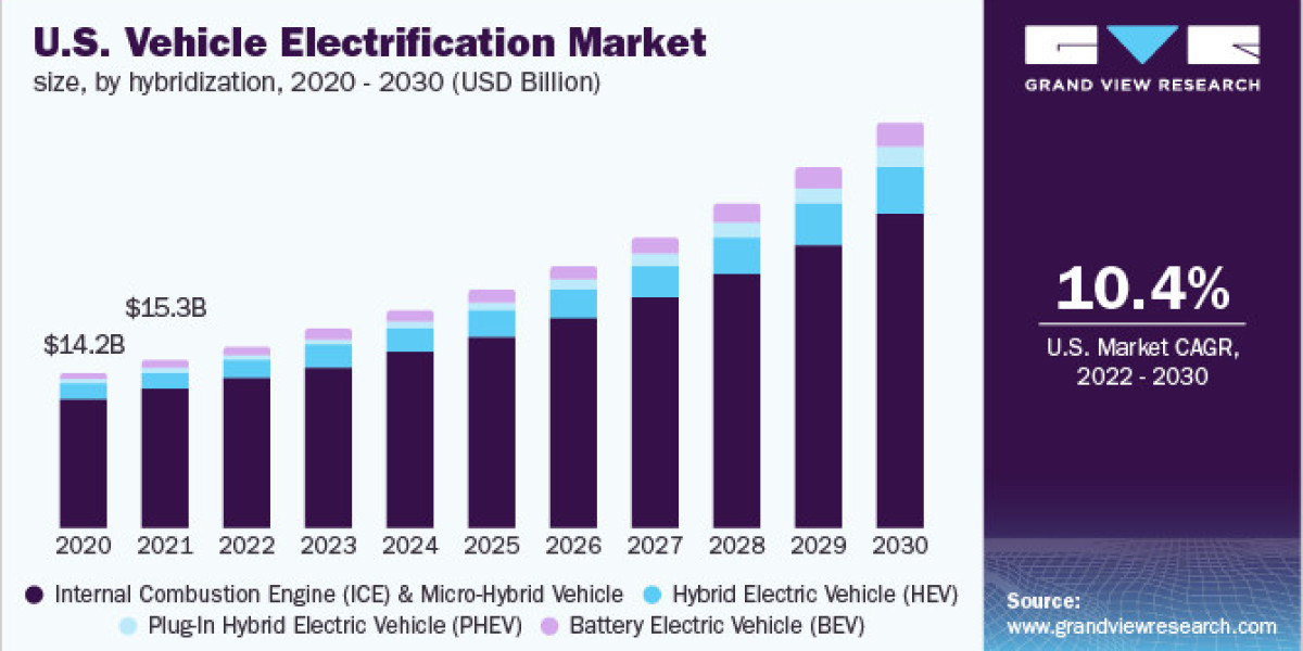 Vehicle Electrification Market Segmentation & Competitive Landscape Report to 2030