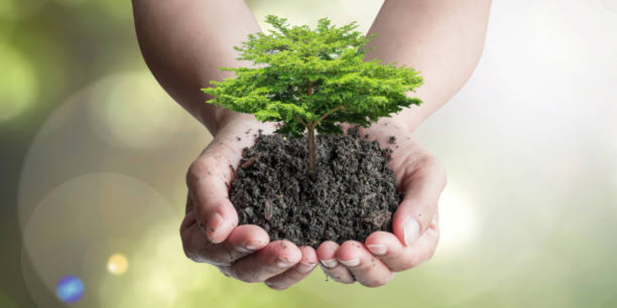 Holistic Approaches to Health and Business