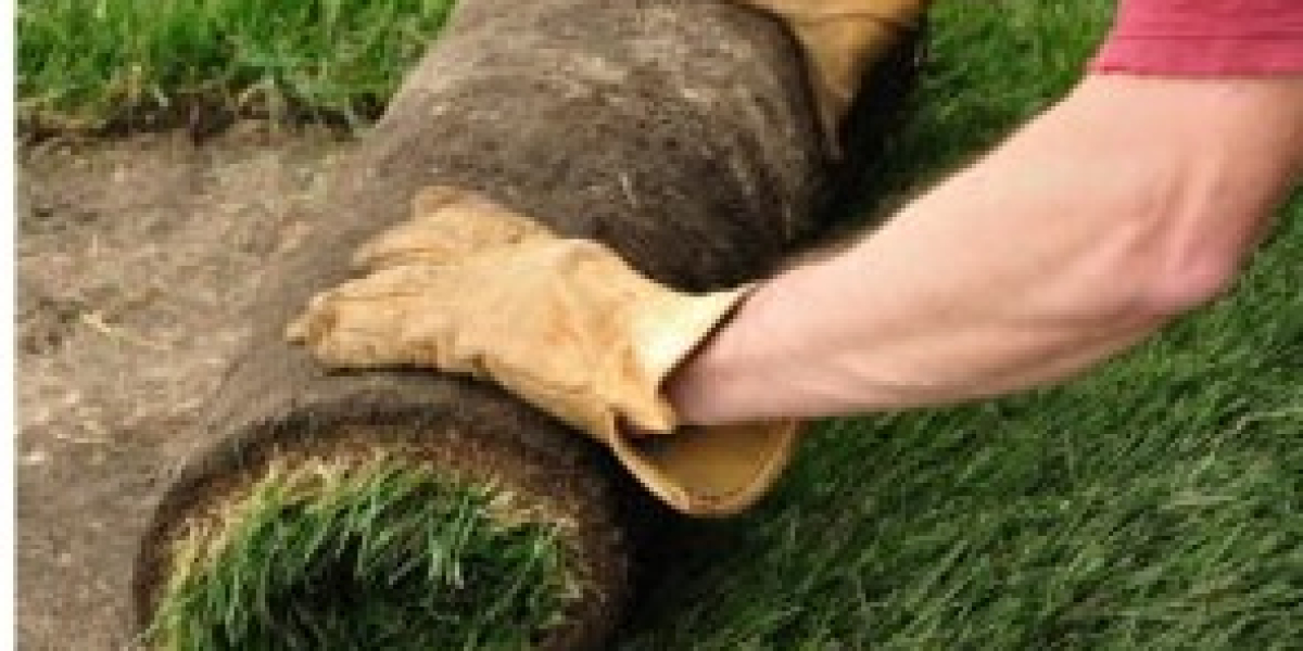 All Seasons Landscaping Inc: Transform Your Outdoor Space with Top-Quality Services