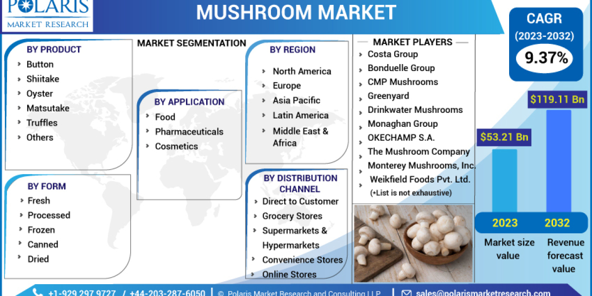 Mushroom Market Growth Statistics, Business Plans and Regional Forecast 2032